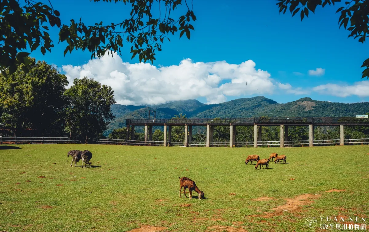 Yuan Sen Garden Ticket in Taitung