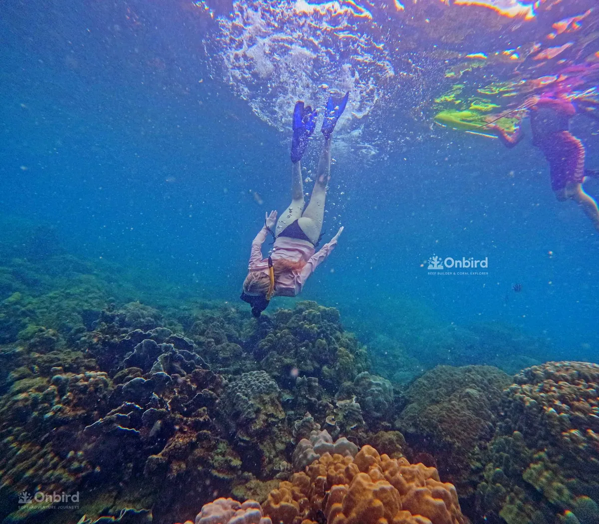 جواهر فو كووك الخفية: دليل المسافر ذو الميزانية المحدودة لتجربة غطس لا تُنسى