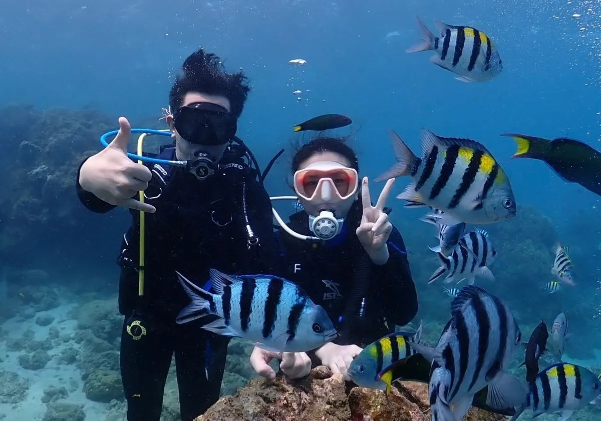 Led by an instructor, dive into the sea and wear an air tank to experience the sensation of swimming with fish.