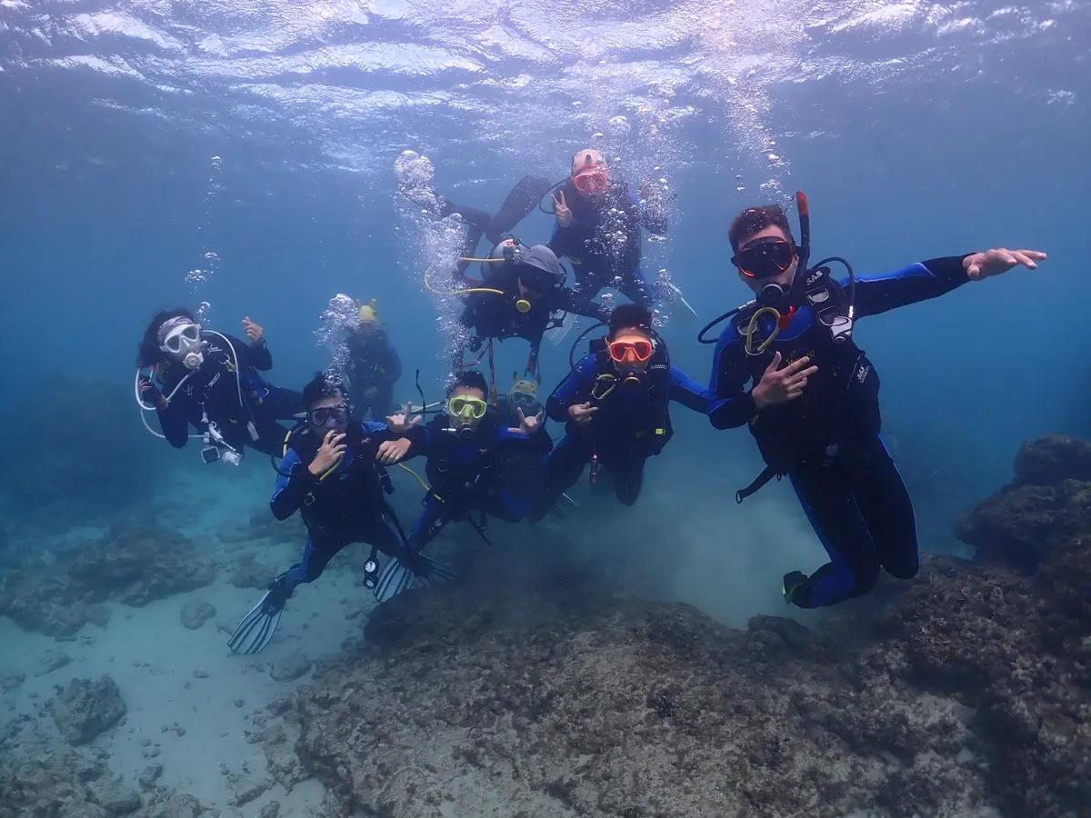 Observe the beauty of living coral up close and discover which marine creatures call them home!