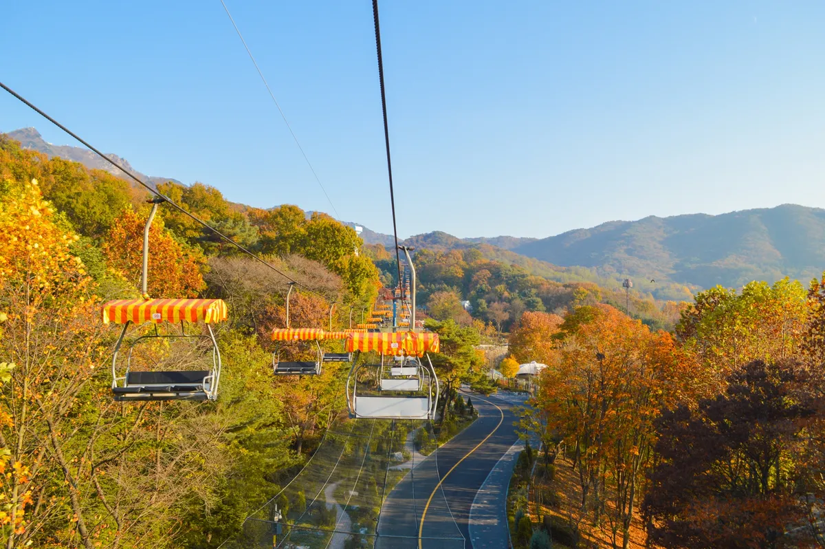 Der ultimative Seoul Zoo Guide: Tierbegegnungen und Sky Lift Panorama-Aussichten