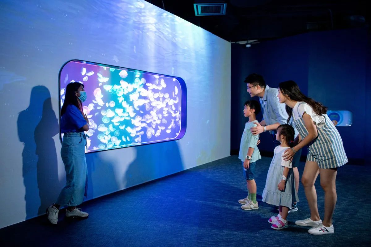 Dive Into Wonder: Hong Kong's Cube O Discovery Park is a Must-See!