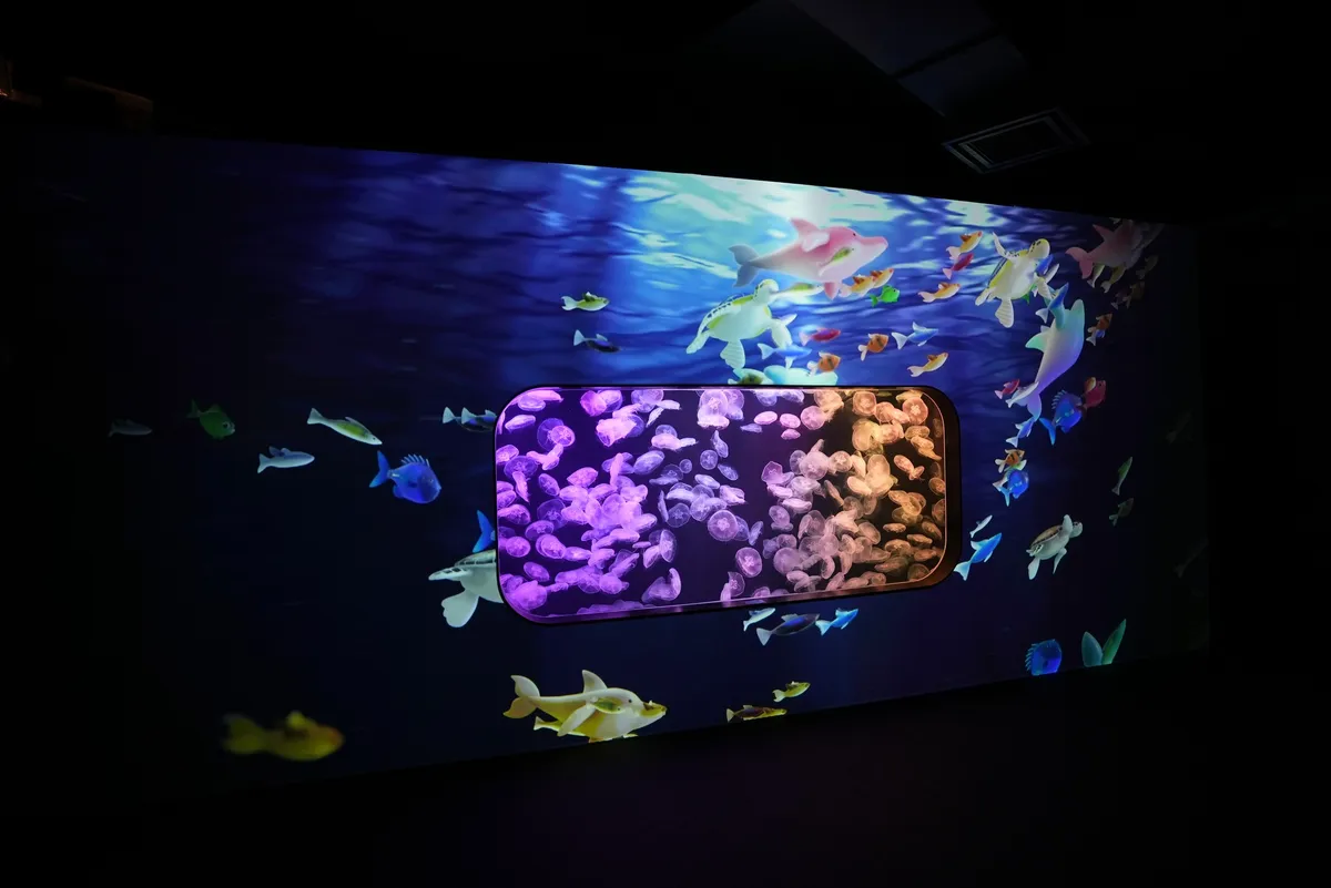 Combining real marine life and multimedia interactive devices to create a unique sensory space
