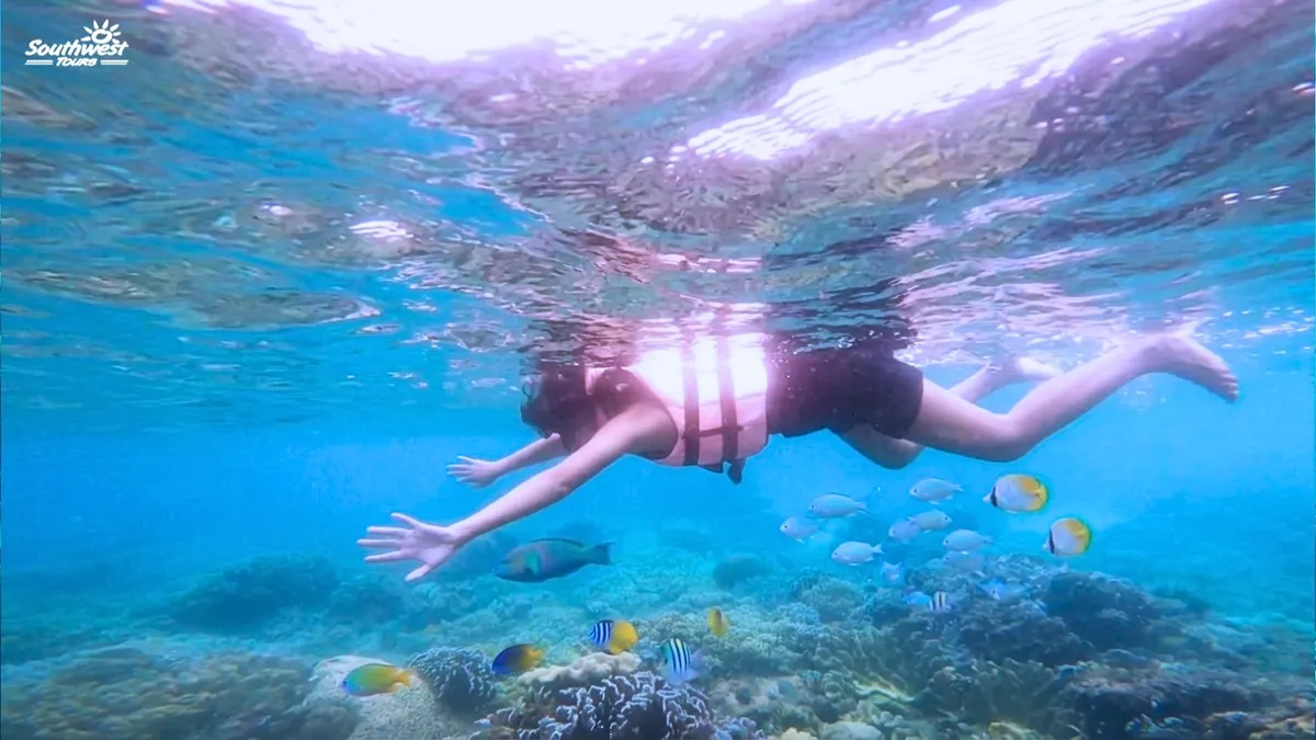 Get up close to the marine life while snorkeling at Balicasag Reef