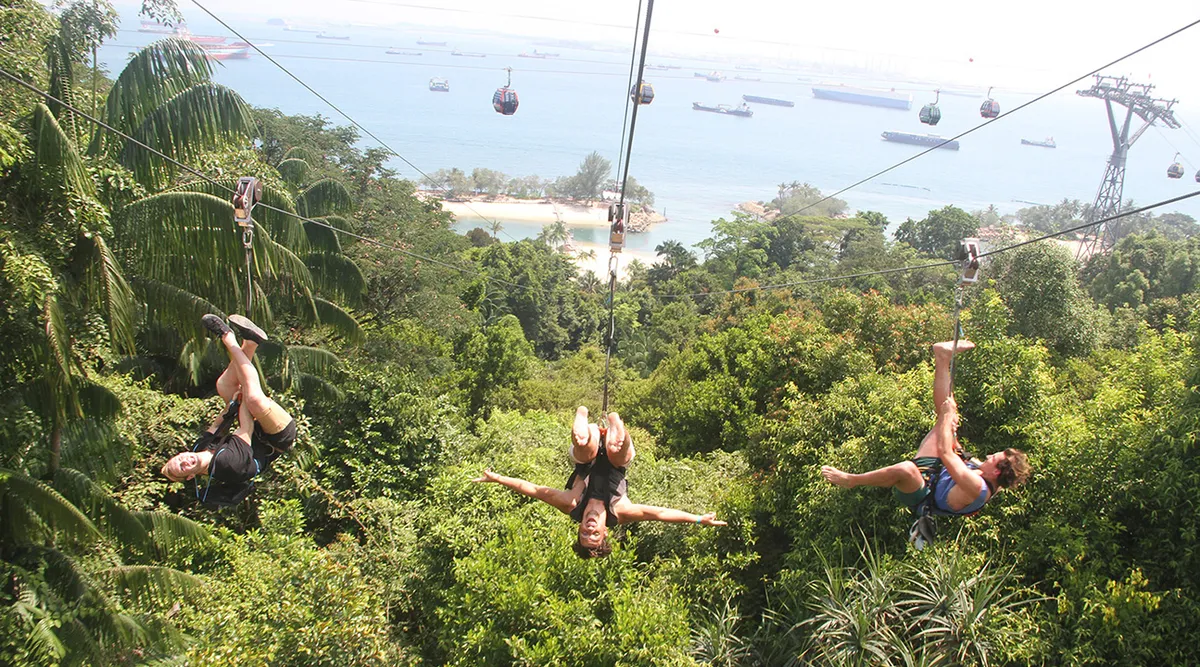 MegaZip Singapur: Hoch hinaus, wild leben – Ihr ultimatives Sentosa-Nervenkitzelerlebnis!