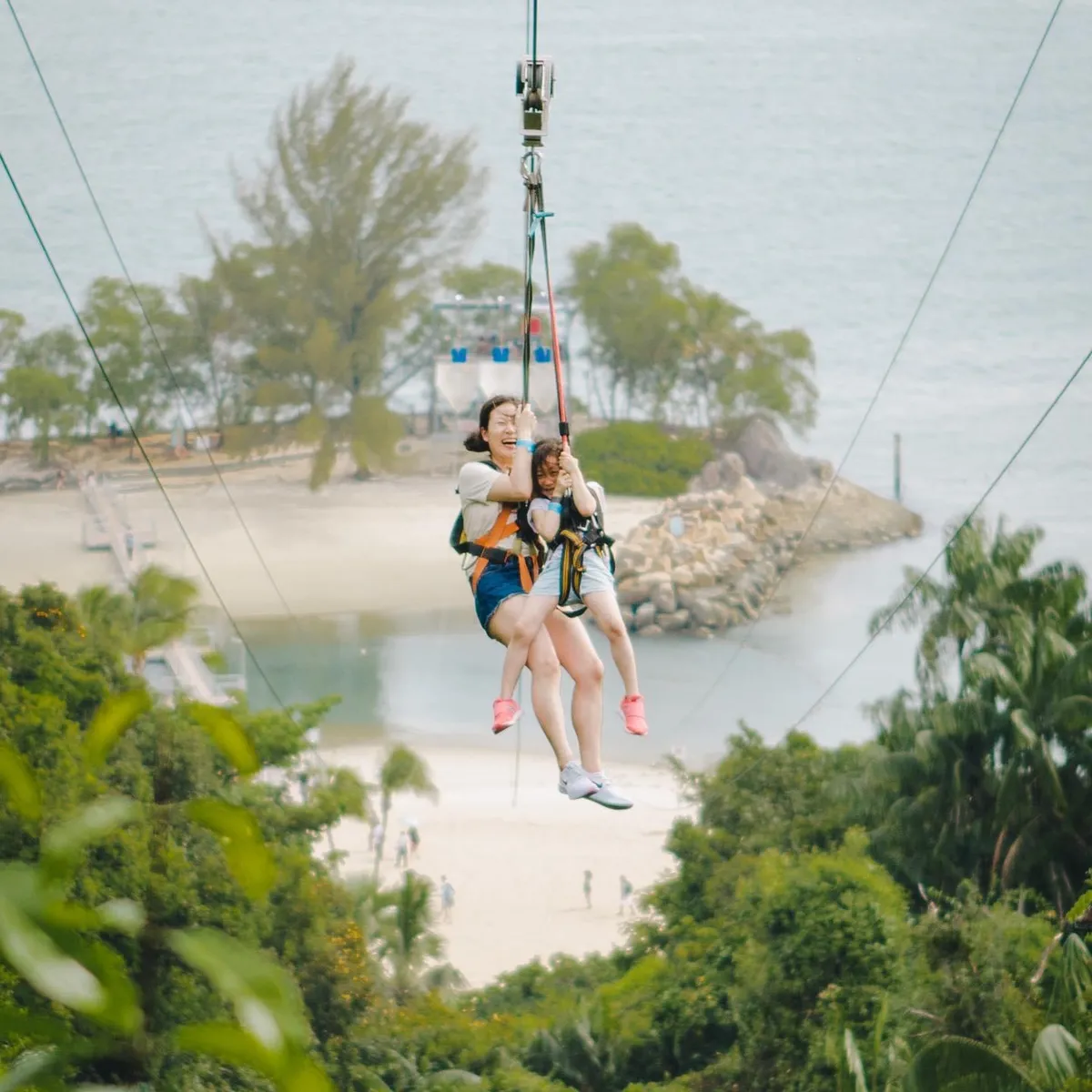 MegaZip tại Công viên Mega Adventure Singapore