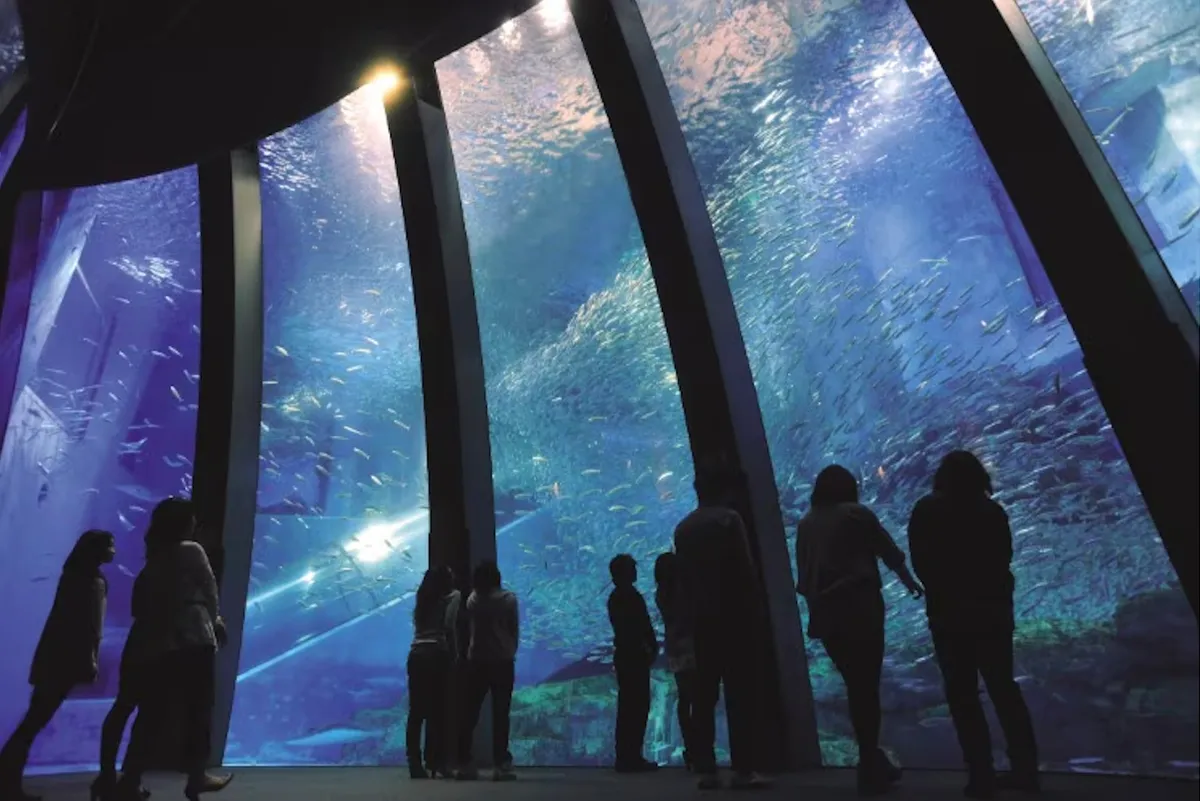 Yokohama Hakkeijima Sea Paradise Ticket