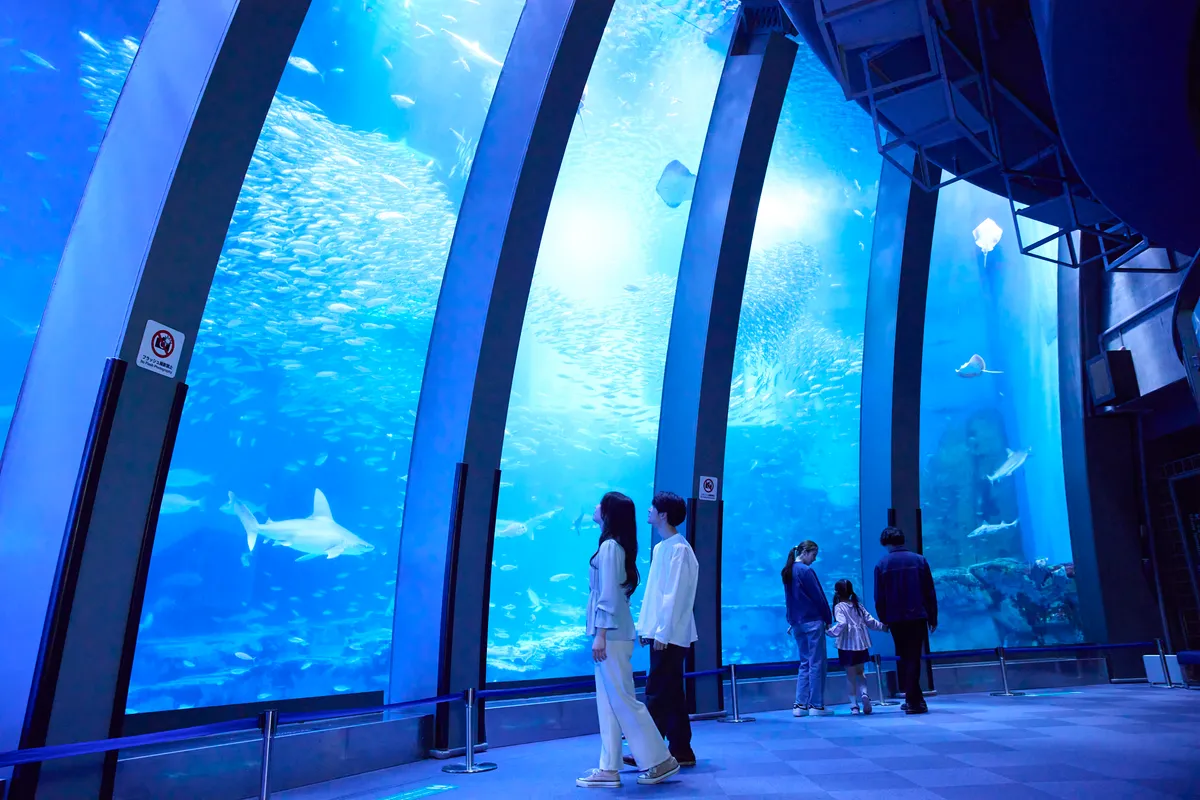 Yokohama Hakkeijima Sea Paradise Ticket