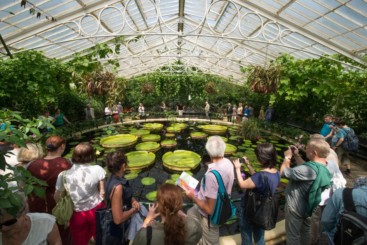 Explorando el corazón verde de Londres: Un día en familia en los Jardines Botánicos de Kew