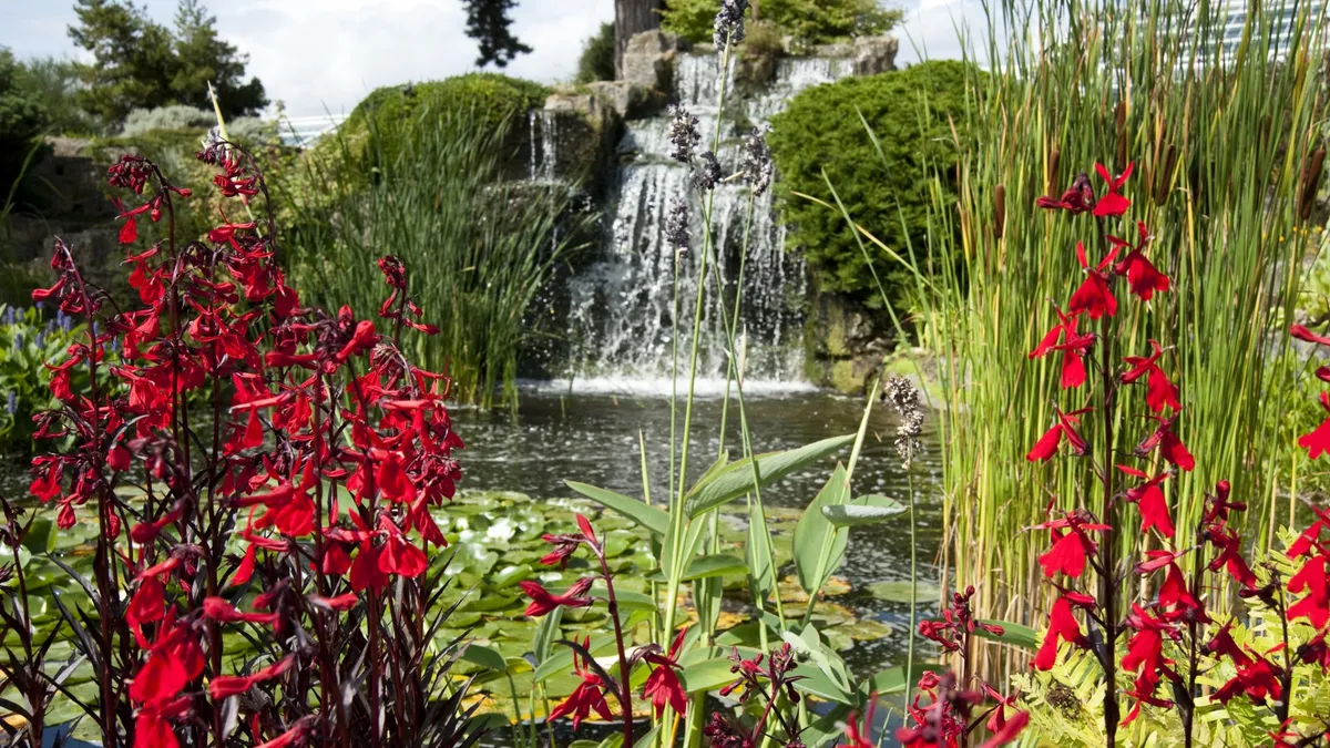 Wander through the valley carved through the landscape with its wild-collected plants from 6 mountain regions of the world