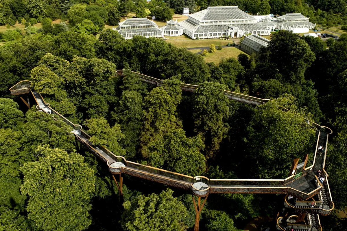 Get to feel what it's like to be on top of a large tree and see views at amazing heights climbing up Treetop Walkway