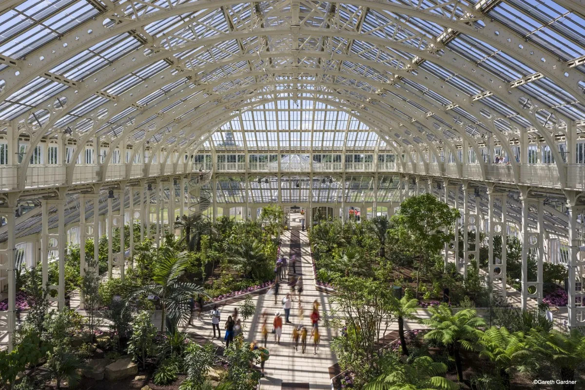 Kew Gardens is home to over 30,000 species of plants. Get to learn about which ones are beneficial to people