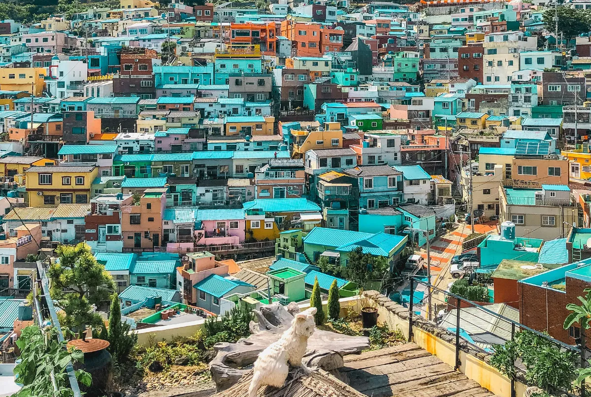 Gamcheon Culture Village & Cheongsapo Geführte Ganztagestour