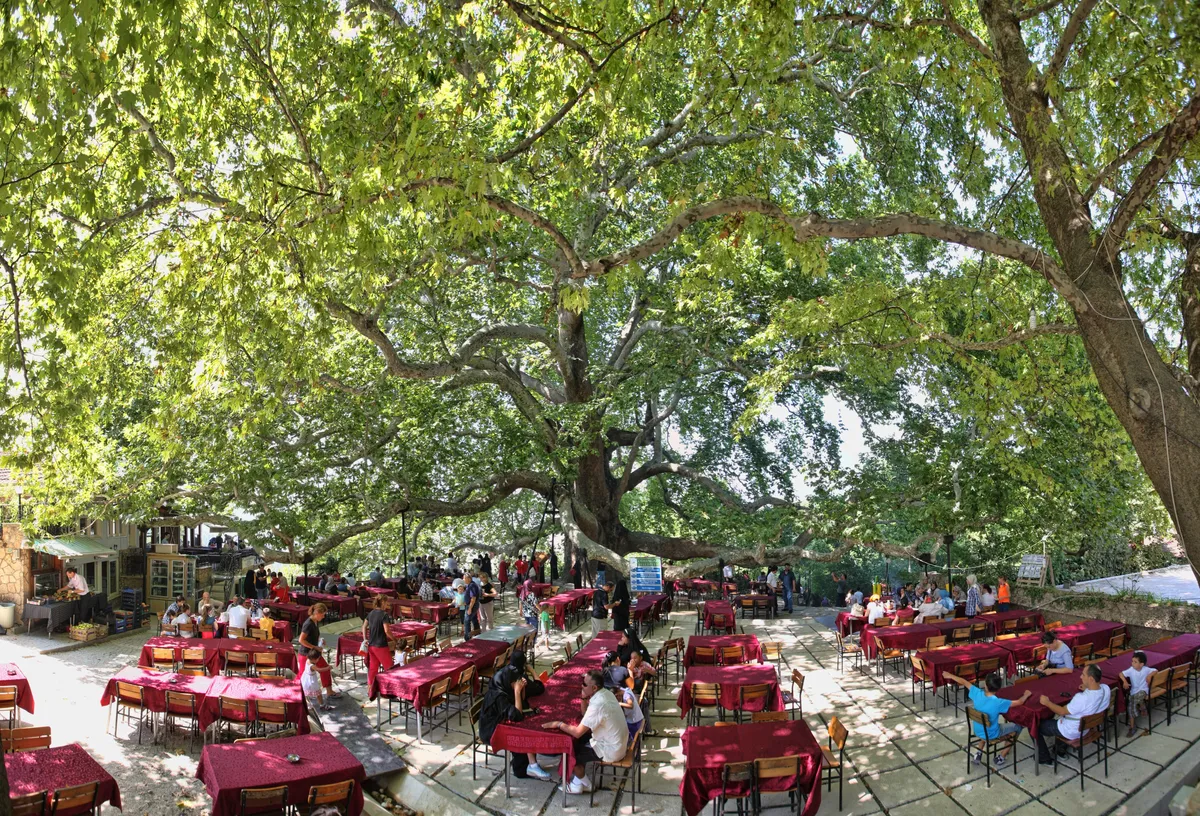 Bursa and Uludag Mountain Nature Guided Tour from Istanbul