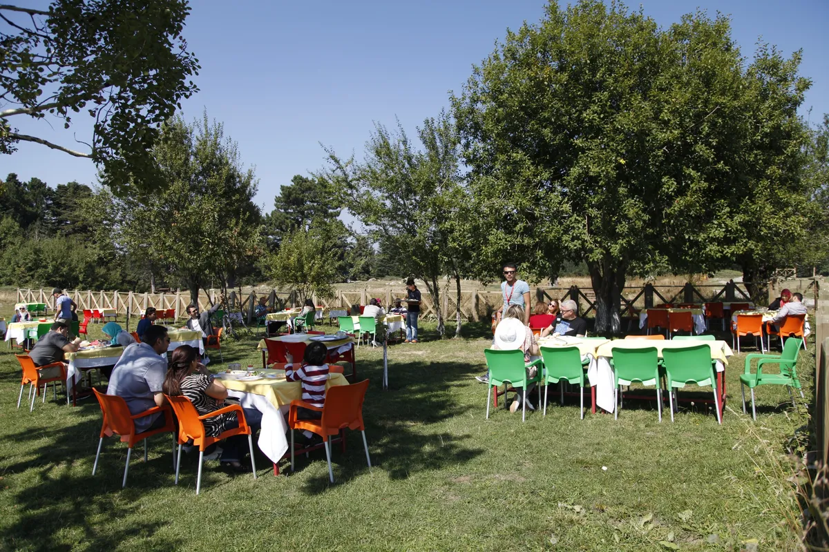 Bursa and Uludag Mountain Nature Guided Tour from Istanbul