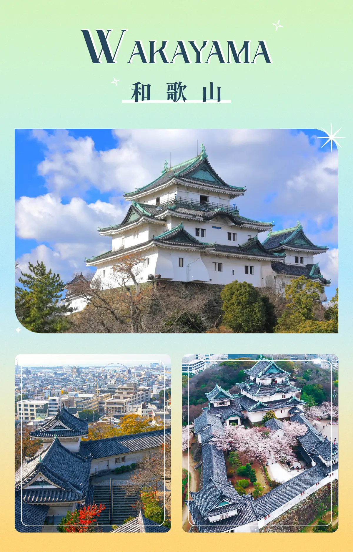 Castles, Sashimi, and Sacred Deer: Our Wild Day Trip Through Wakayama and Nara