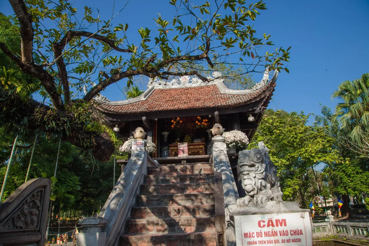 Zoom Through Hanoi: The Ultimate Motorbike Food and Sightseeing Adventure Review