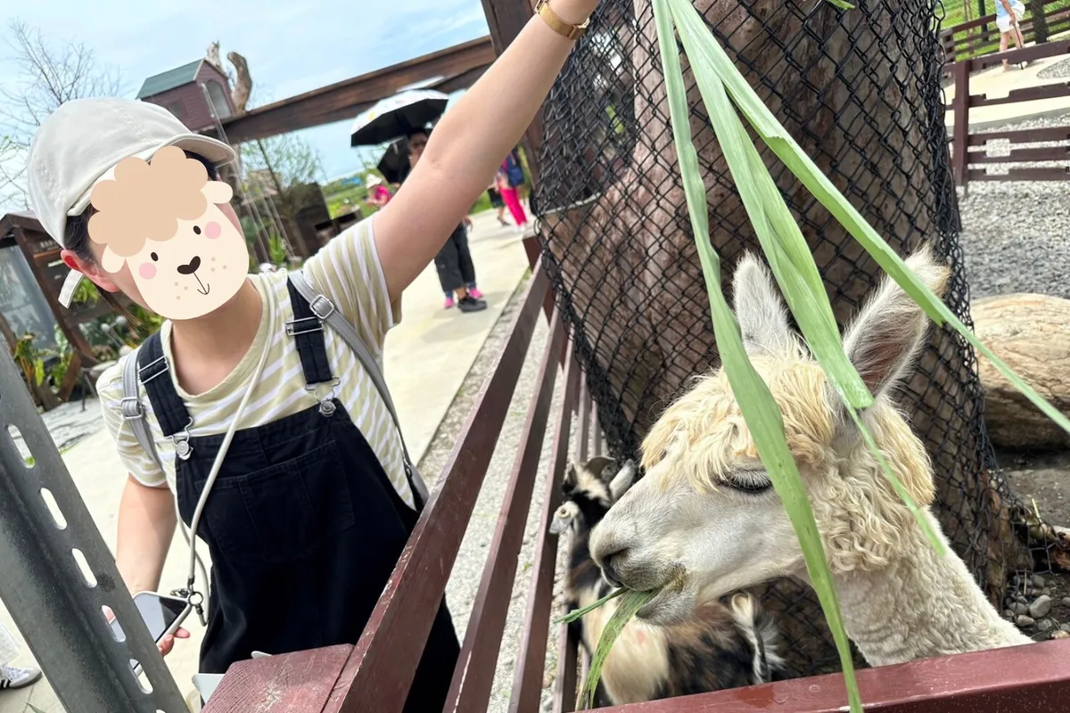 Lanyang Animal and Plant Kingdom is Yilan's highly popular parent-child farm, where you can closely feed adorable animals like capybaras, parrots, and alpacas.