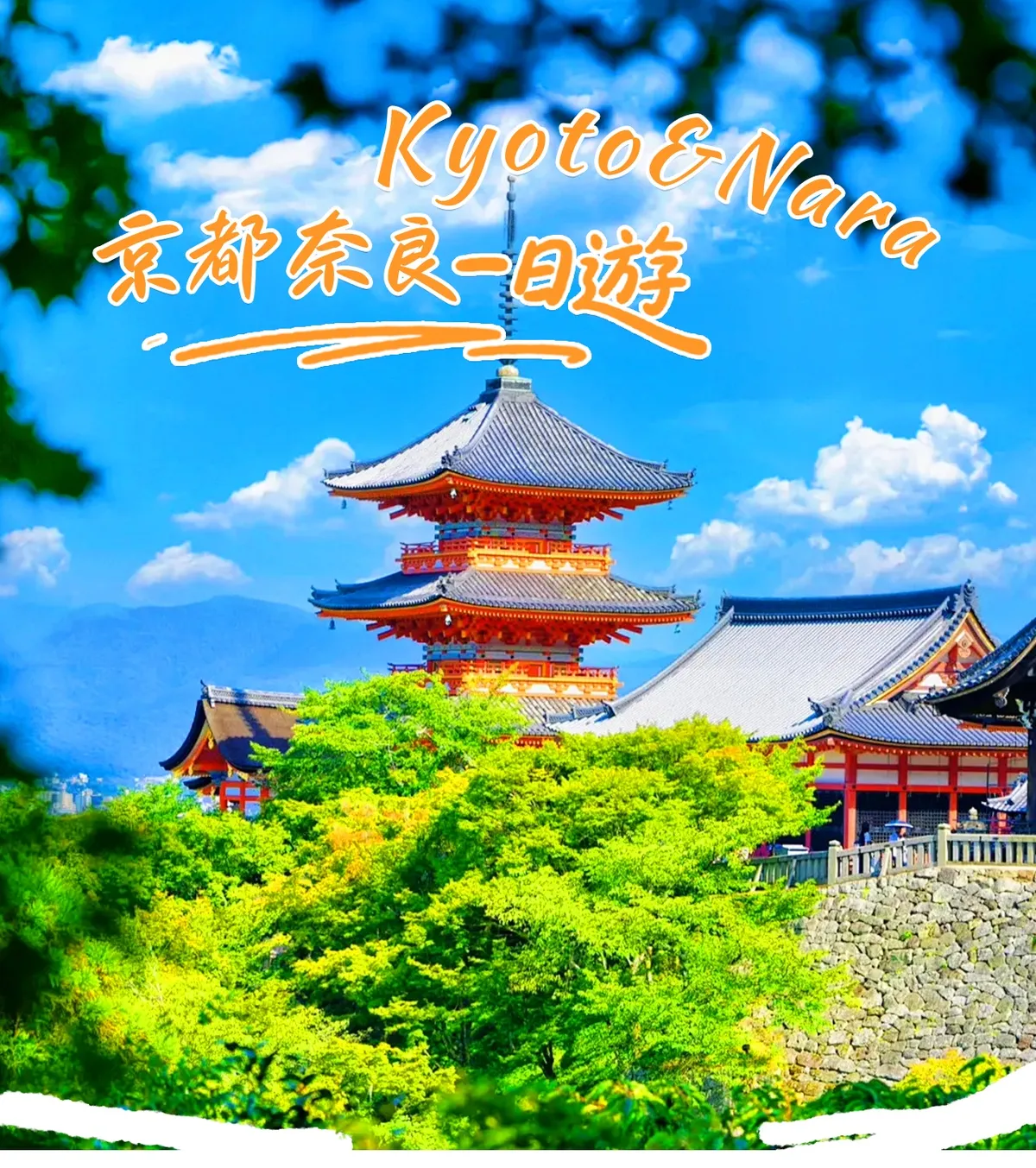 Reisen Sie durch tausendjährige alte Hauptstädte, erkunden Sie den antiken Charme Kyotos und das Hirschschutzgebiet von Nara und genießen Sie die Schönheit der japanischen Tradition an einem Tag 🦌⛩️