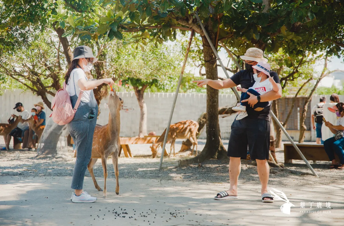 A Serene Sanctuary: An Expert Review of Kenting's Alook Deer Park
