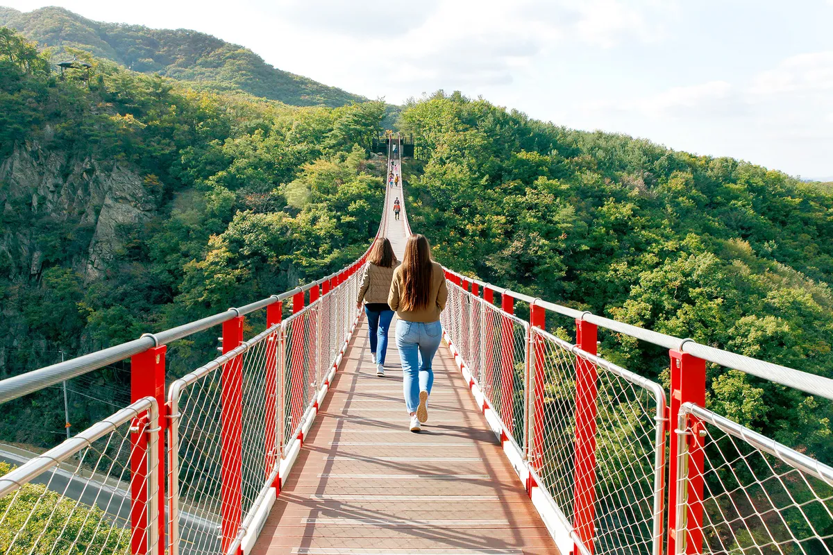 ⛰️ 봄에는 감악산 출렁다리가 울창한 푸른 계곡 위를 스릴 넘치게 걷는 경험을 선사합니다.