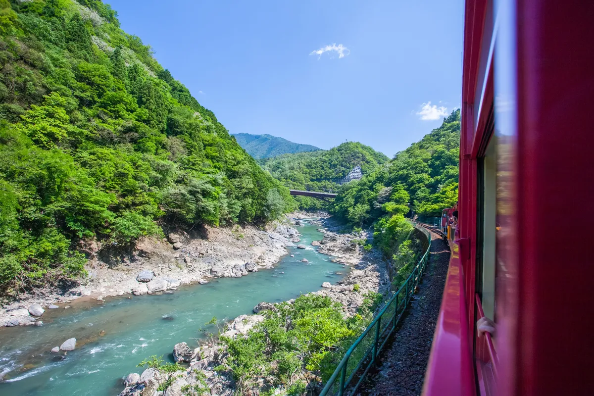 The Ultimate Kyoto Escape: Mossy Temples, Bamboo Forests, and the Iconic Sagano Railway