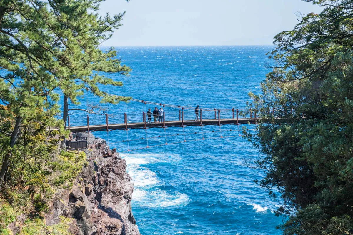 Tokyo to Izu: Is the Mt. Omuro and Jogasaki Coast Day Trip Worth It?