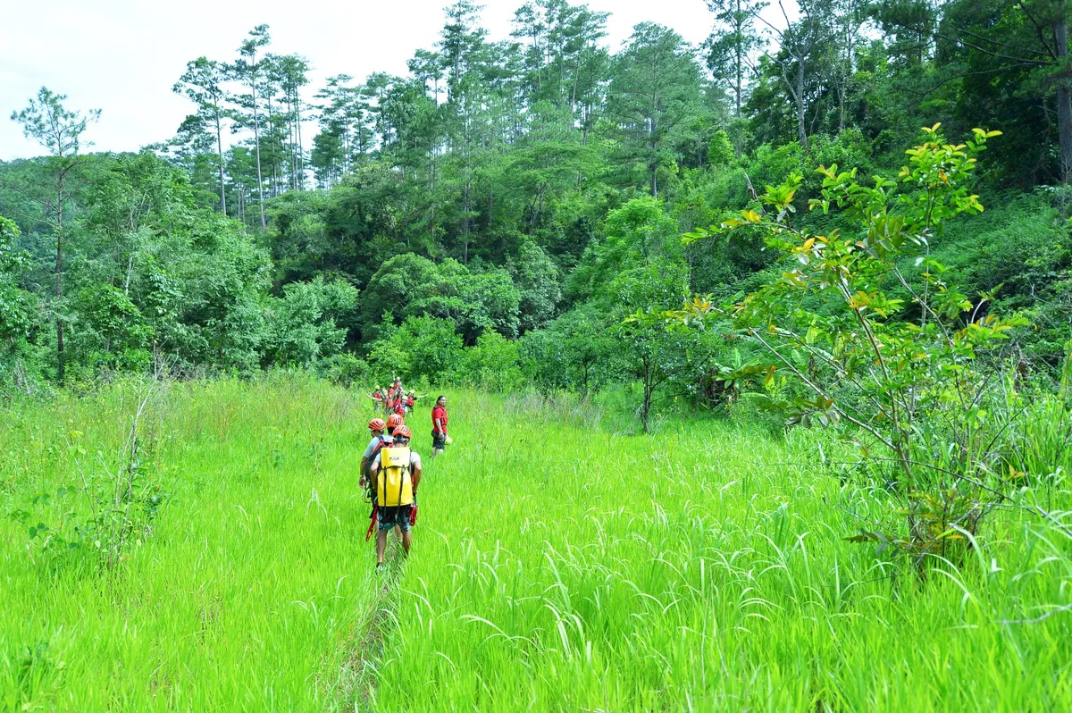 Ignite your sense of adventure on a half day your that will take you through the forests