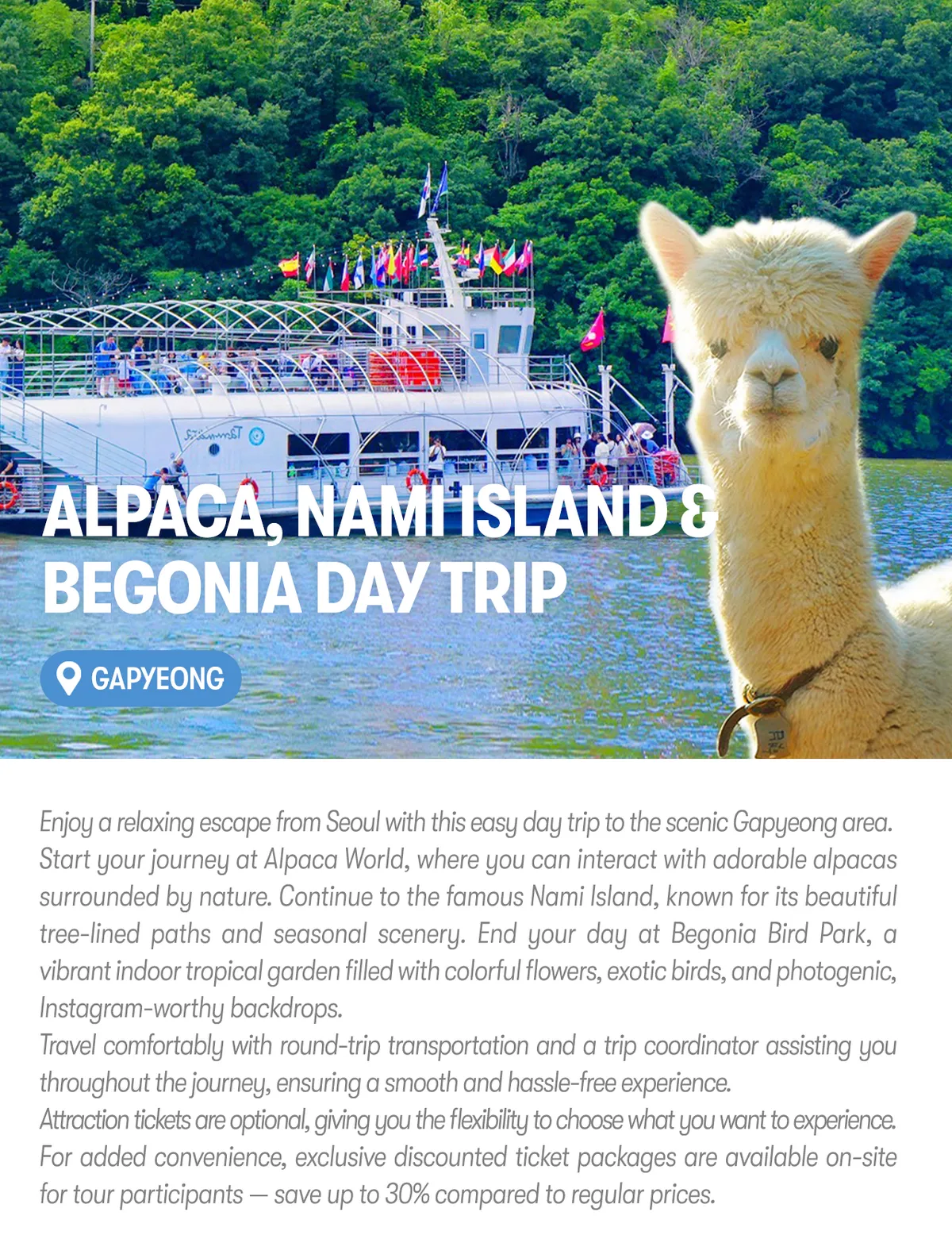An Honest Review: Escaping Seoul to Alpaca World, Nami Island & Begonia Bird Park