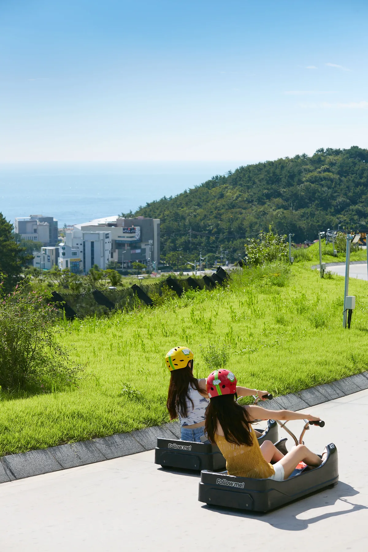 Busan's Ultimate Downhill Thrill: Is the Skyline Luge Worth the Hype?