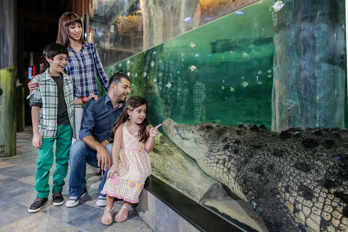 Dive into Wonder: An Unforgettable Journey at Dubai Aquarium & Underwater Zoo!