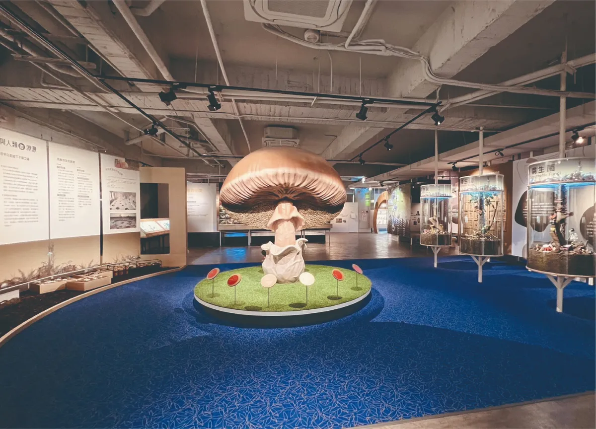 Fungi Fun for Families: A Review of the Wufeng Mushroom Industry and Academia Center
