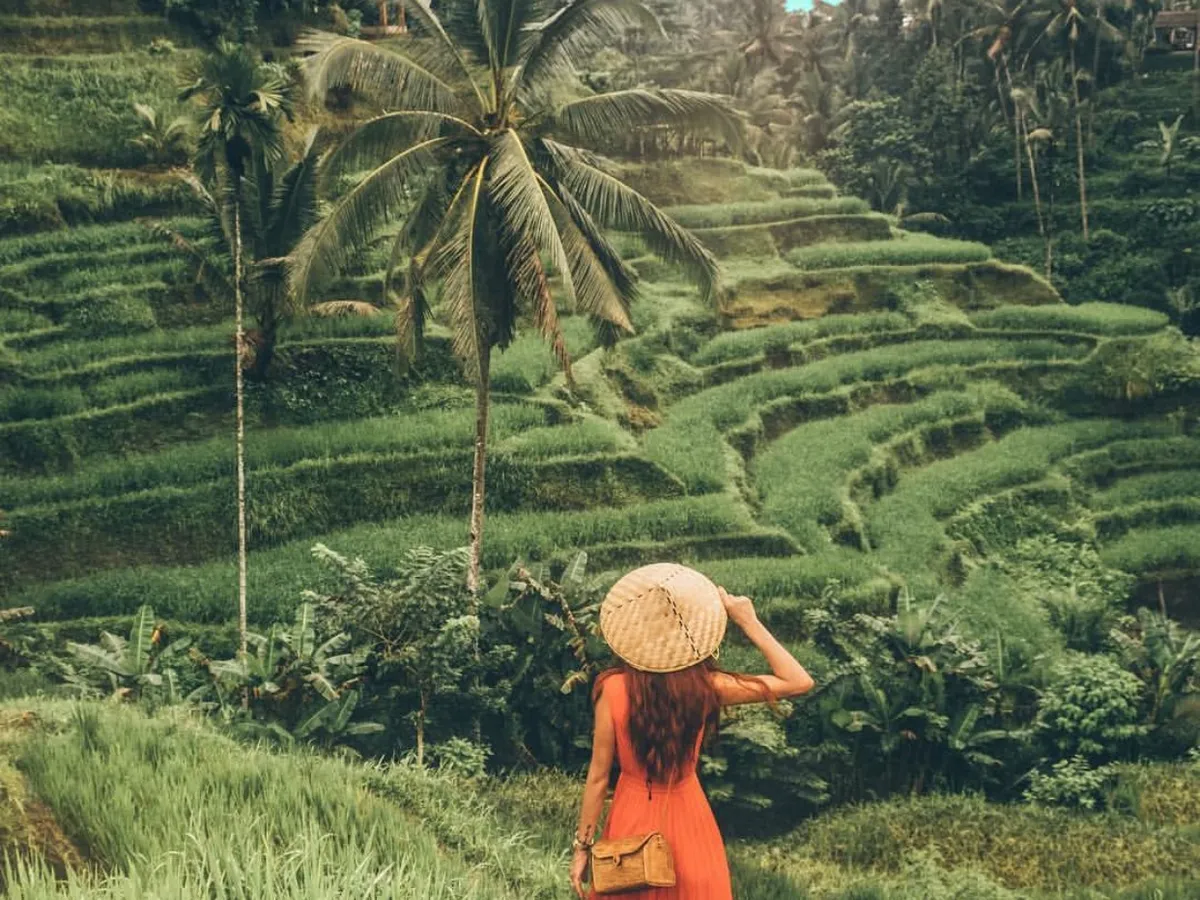 Explore Tegalalang Rice terrace to witness the beauty of Tegalalang village and capture some beautiful pictures for your instagram feeds