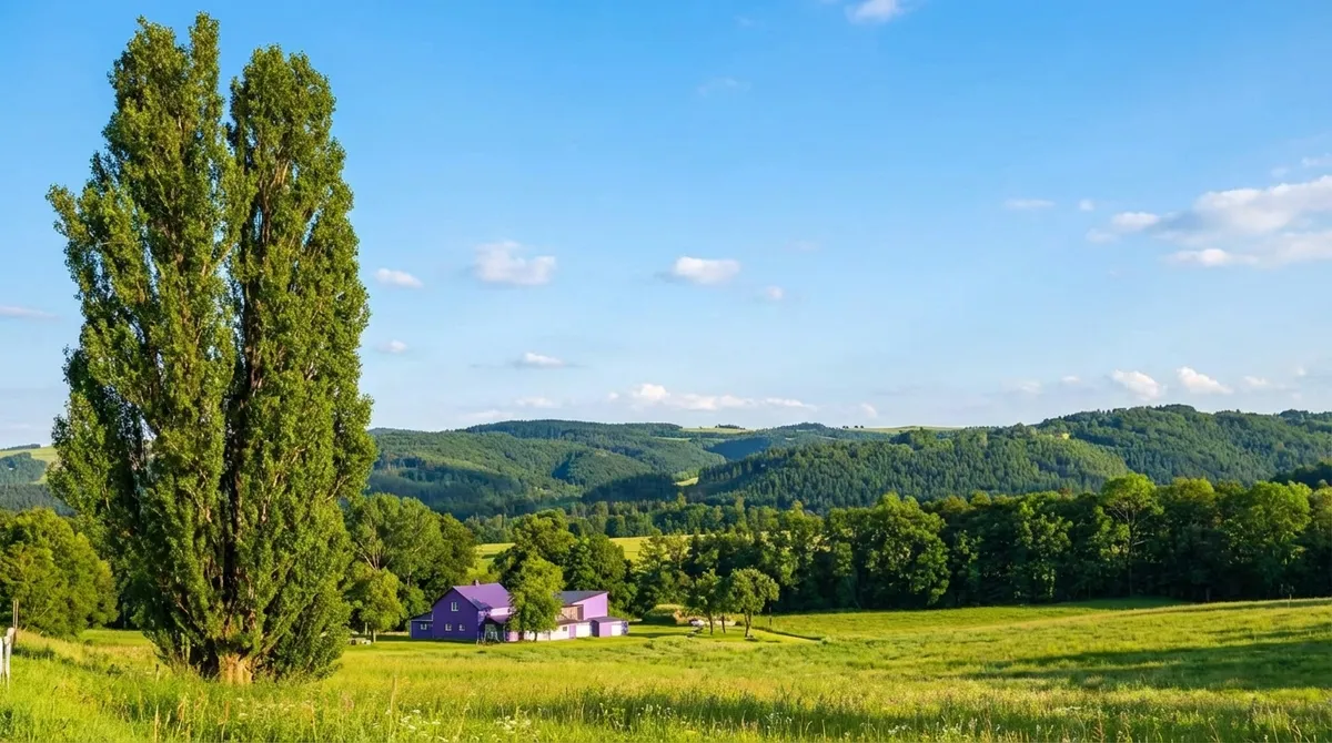 Unter dem Baum von Ken & Mary wurde auch der Wind ganz sanft.