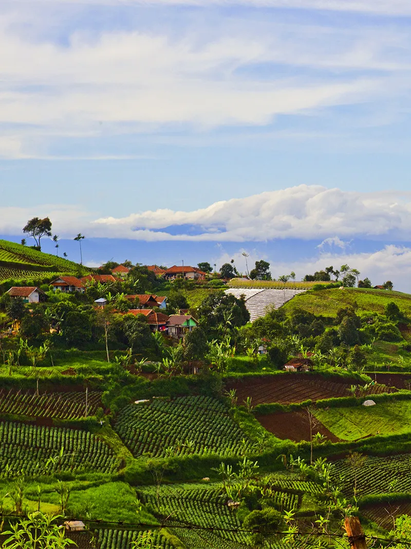 Bandung