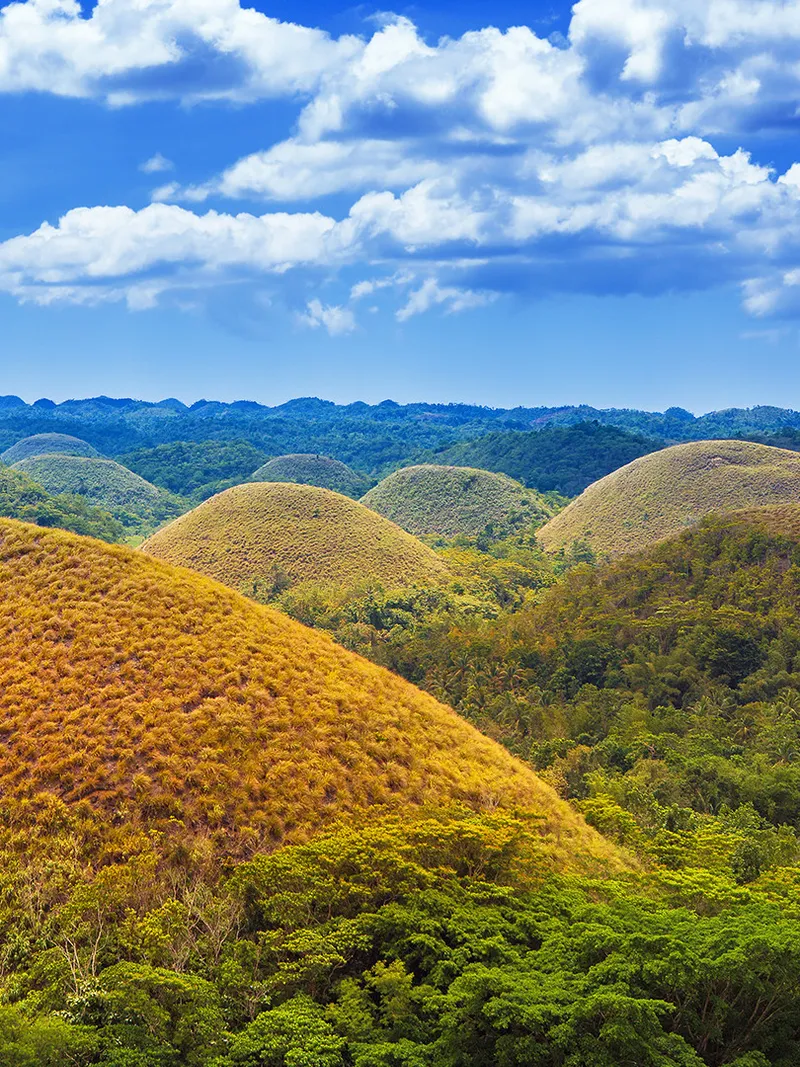 Bohol