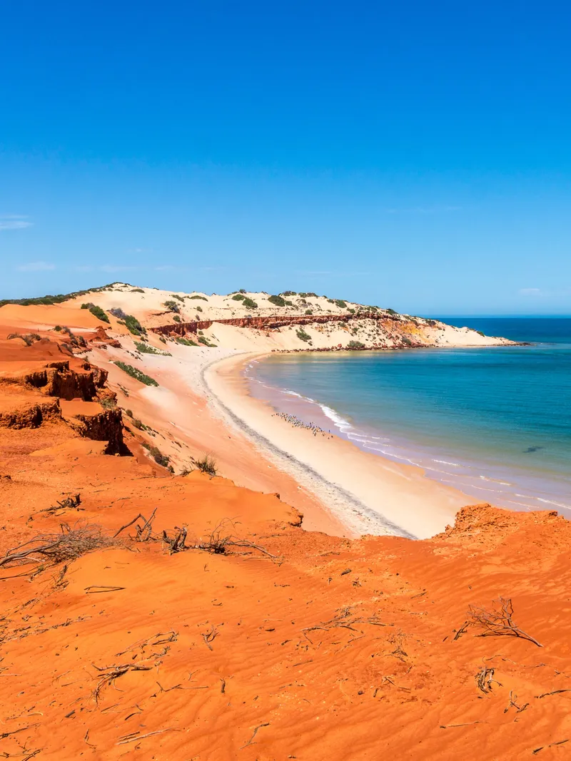 Broome