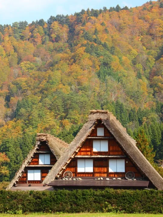 Gifu