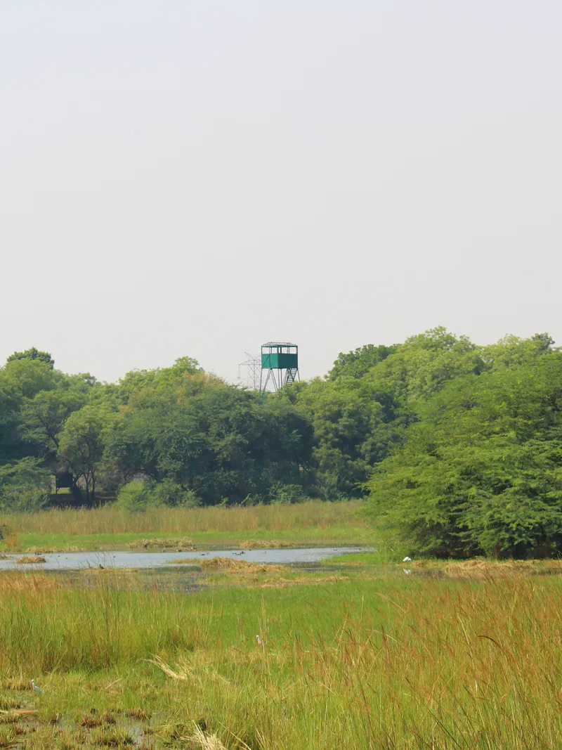 Gurugram