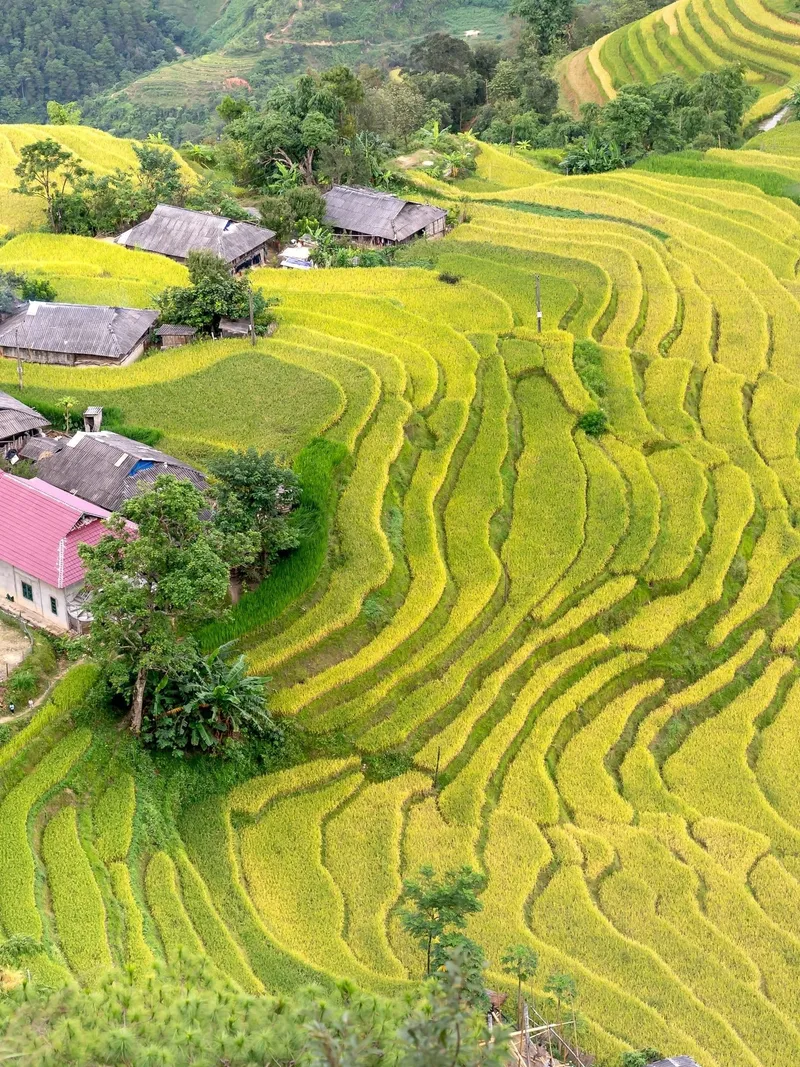 Ha Giang