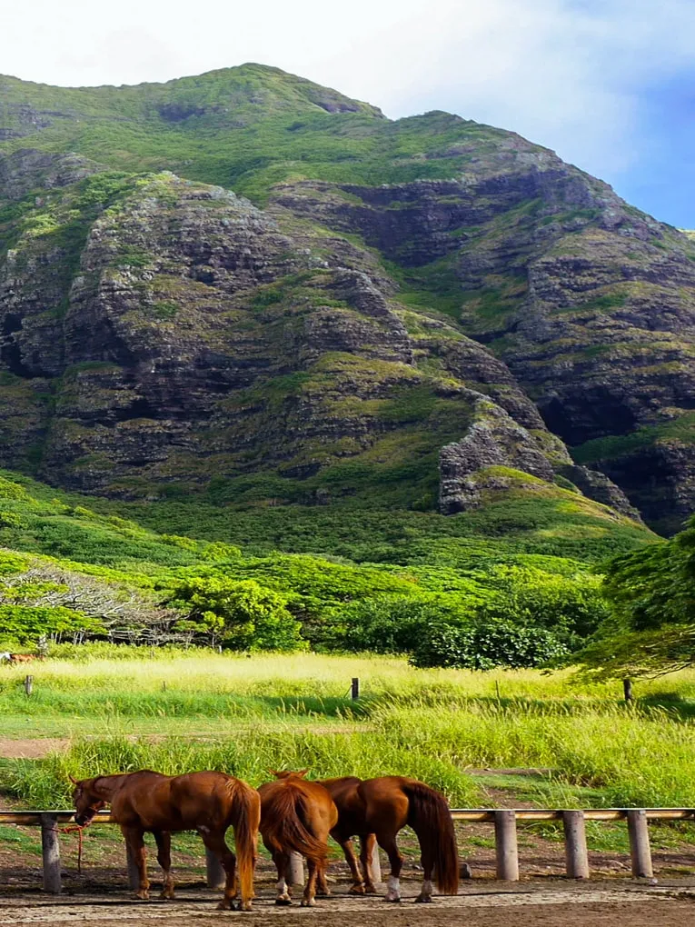 Kaneohe