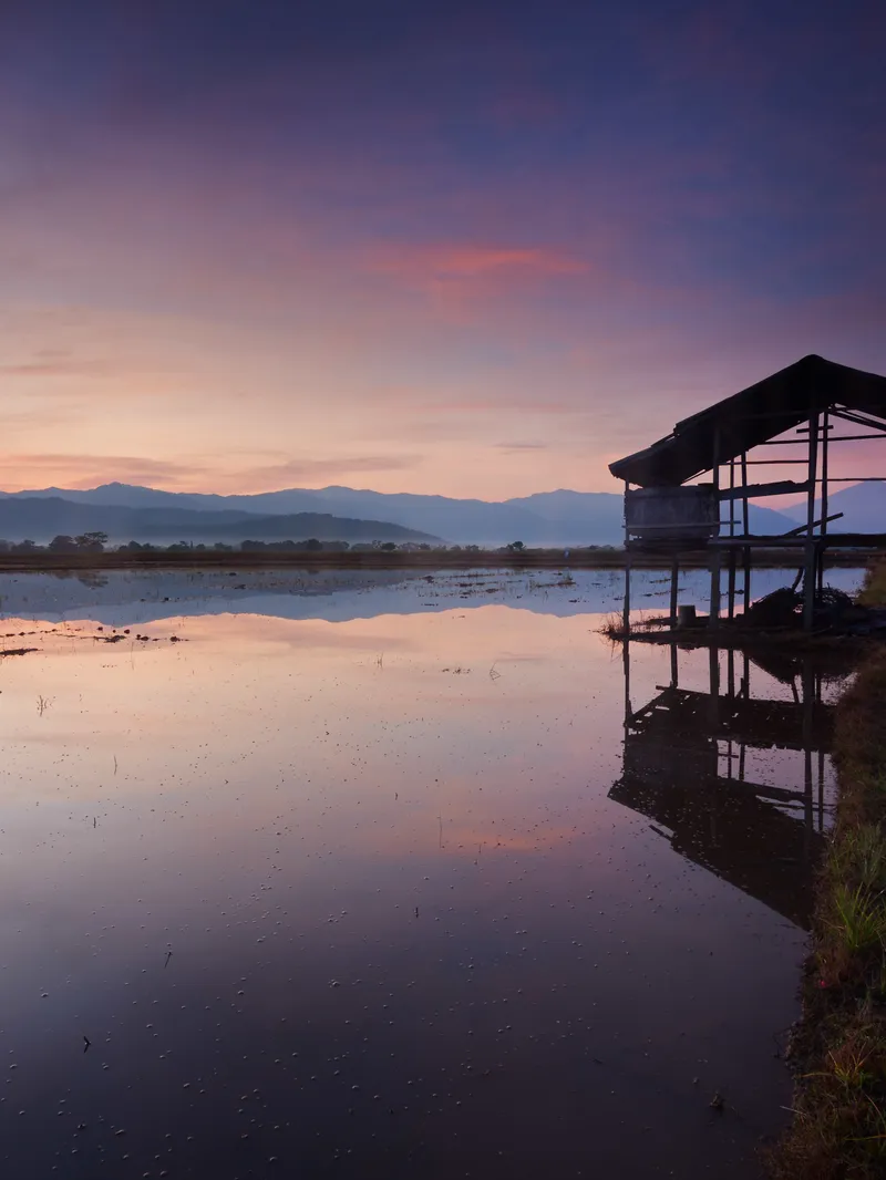 Kota Belud