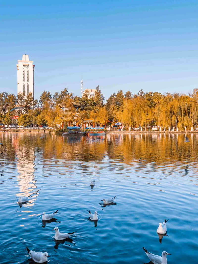 Kunming