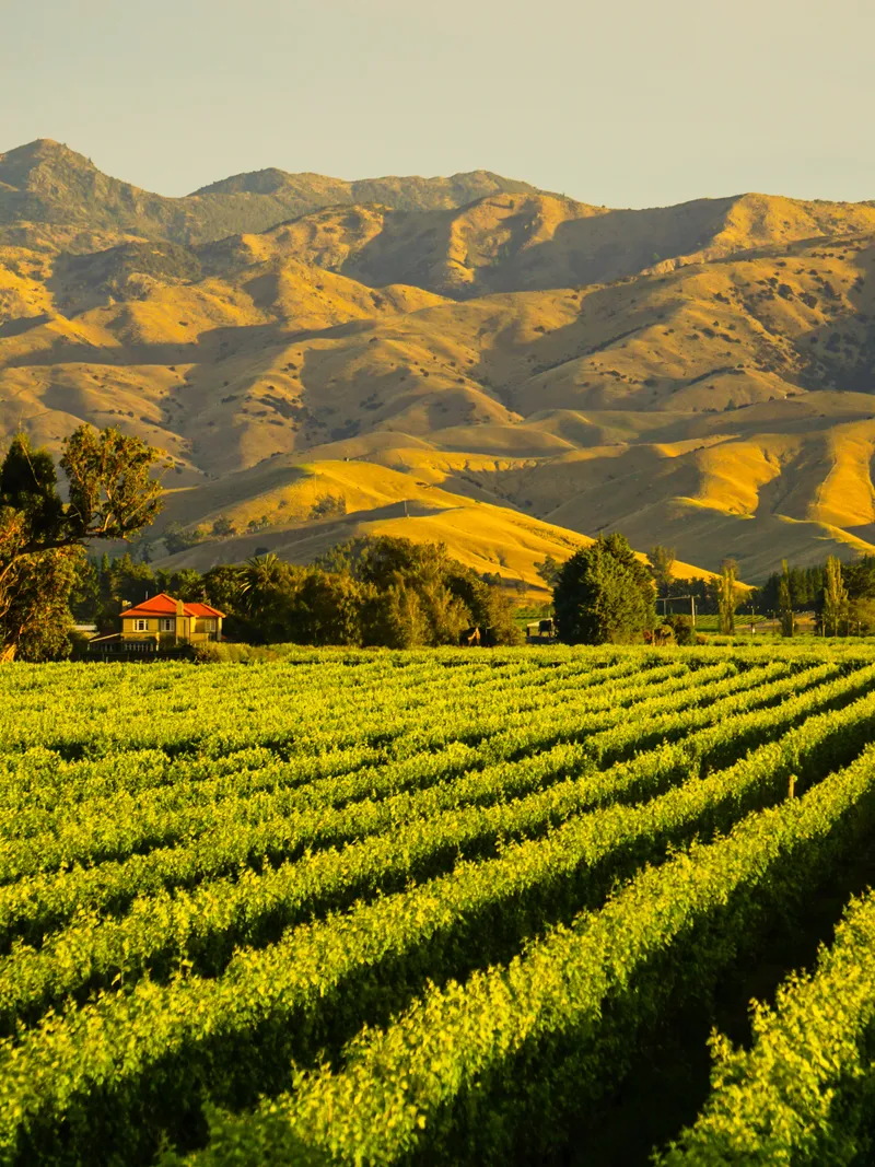 Marlborough