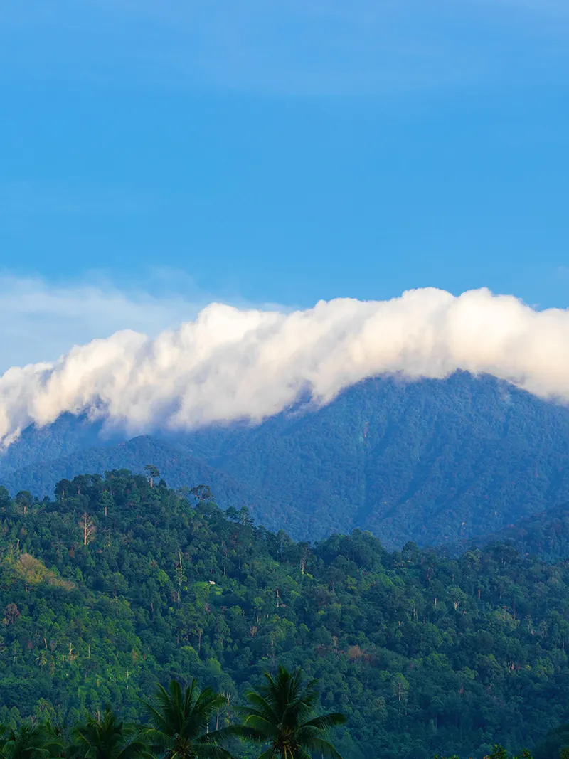 Nakhon Si Thammarat Province