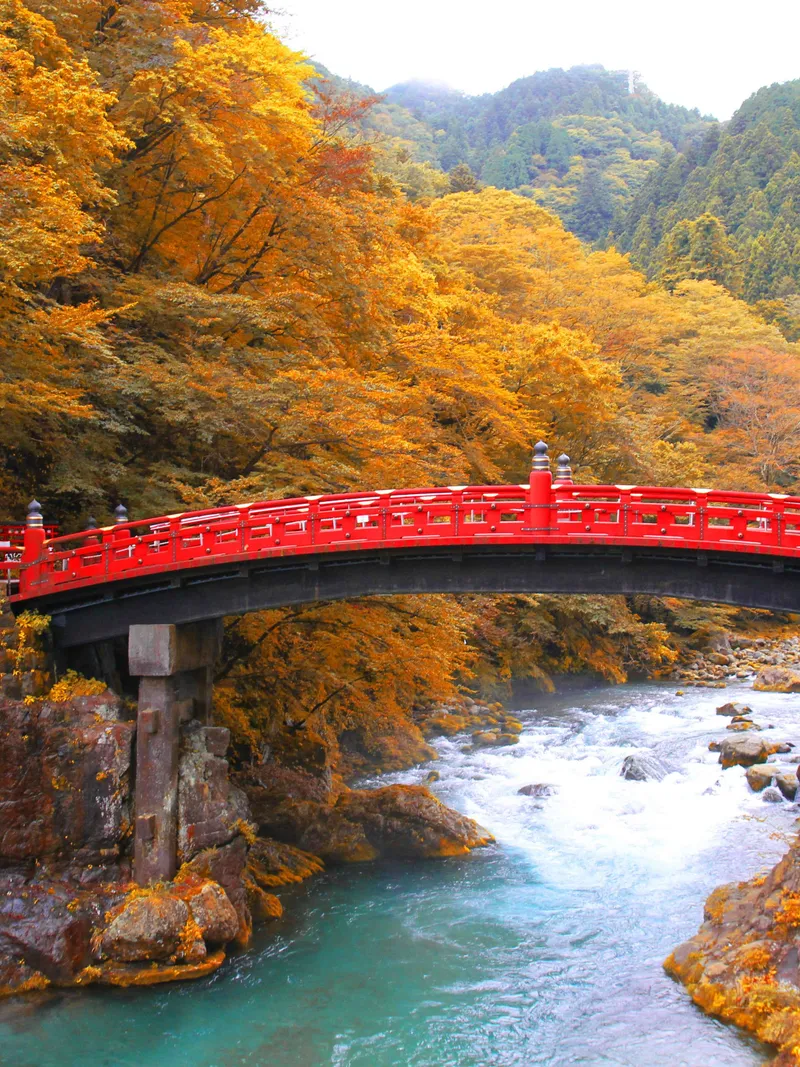 Nikko