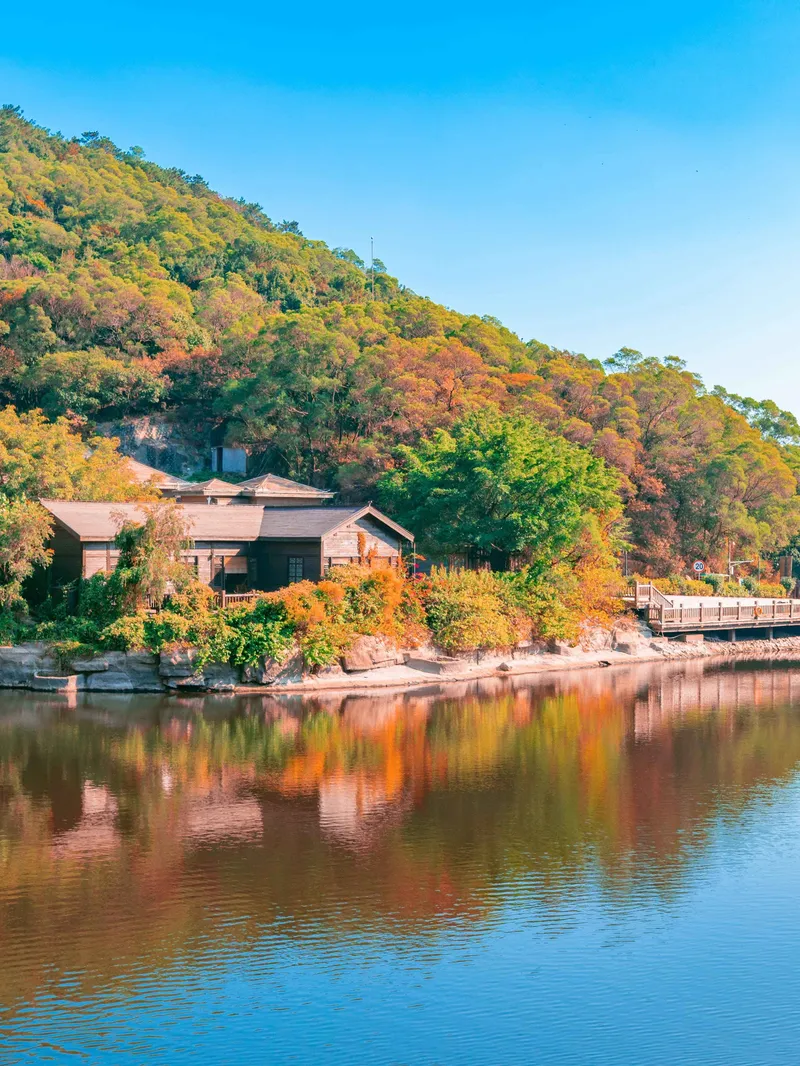 Qingyuan