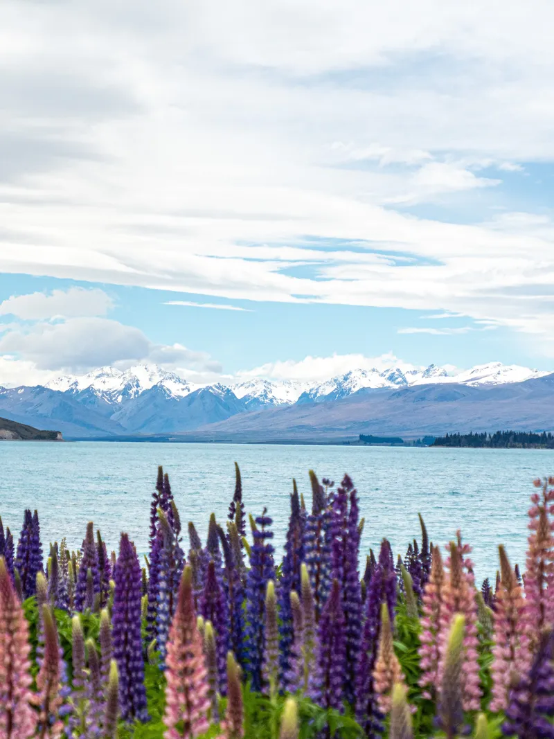 South Island