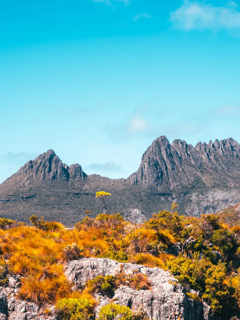 Tasmania