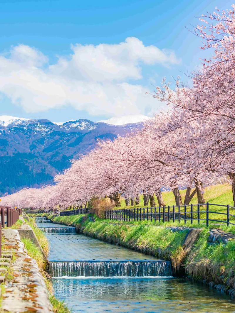 Toyama